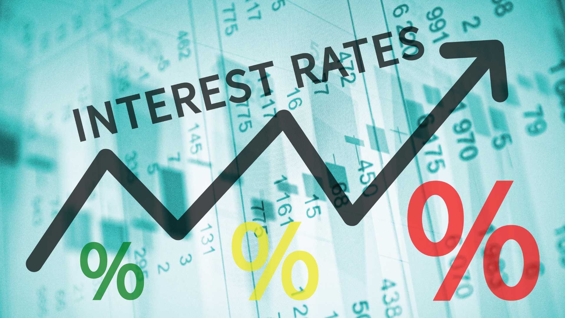 interest rates turkey